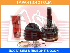 ���� ASVA / TY11 �������� 24 ��� TY11 ����