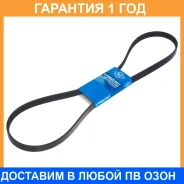 ������ ������������ SUN SUN / 5PK1290 �������� 12 ��� 5PK1290 ����