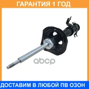 ����������� �������� CTR / GY1531G �������� 12 ��� GY1531G ����