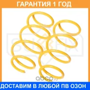 ������� �������� �������� Sufix / SZ1009 �������� 12 ��� ���� �� 2 �� SZ1009 ����