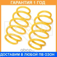 ������� �������� ������ Sufix / SZ2648 �������� 12 ��� ���� �� 2 �� SZ2648 ����