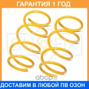 ������� �������� �������� Sufix / SZ2661 �������� 12 ��� ���� �� 2 �� SZ2661 ����