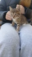 �����. ����