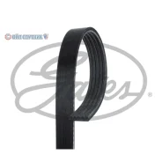 ������ ������������ 5PK1545 XF 58409 5PK1545 ����