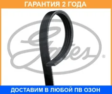 ������ ���������� Gates / 4PK1013 �������� 24 ��� 4PK1013 ����