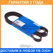������ ������������ Avantech / 5PK1765 �������� 24 ��� 5PK1765 ����