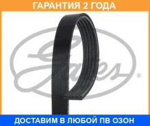 ������������ ������ Gates / 5PK955 �������� 24 ��� 5PK955 ����