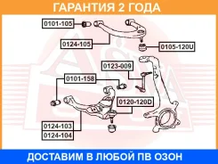 ����� ������� ��������� ������� ������ ASVA / 0120120D �������� 24 ��� 0120120D ����