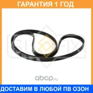 ������ ������������ Sufix / FB3101 �������� 12 ��� FB3101 ����
