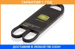 ������ ��������� Trialli / 3PK805 �������� 12 ��� 3PK805 ����