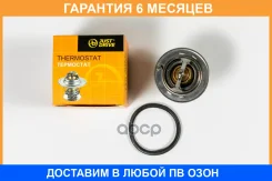 ��������� JUST Drive / JPT0062 �������� 6 ��� JPT0062 ����