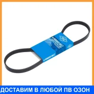������ ������������ SUN SUN / 4PK795 4PK795 ����