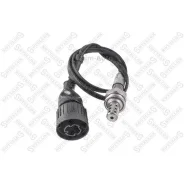 ������-���� BMW E34 2.0/2.5 mot. M20B20/M20B25 88-91 2000101SX ����