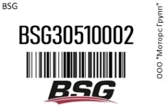 ���������� FORD Focus (98-) ���������� ������������� BSG 30510002 BSG30510002 ����