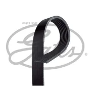 ������ ������������ Gates 7PK1038SF 7PK1038SF ����