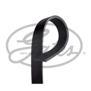 ������ ������������ Gates 7PK1038SF 7PK1038SF ����