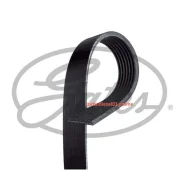 ������ ������������ Gates 7PK1038SF 7PK1038SF ����
