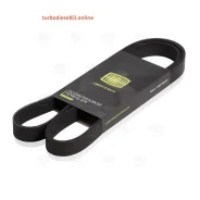 ������ ������������ Trialli 6PK1820 6PK1820 ����