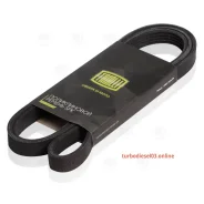 ������ ������������ Trialli 5PK1885 5PK1885 ����