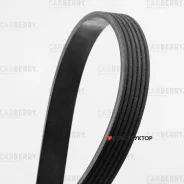 ������ ������������ Carberry 6PK2083 6PK2083 ����