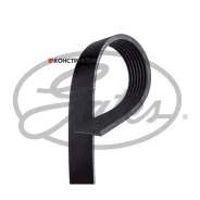������ ������������ Gates 7PK1038SF 7PK1038SF ����