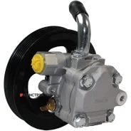 ����� �������������� ���� Motorherz P1101HG P1101HG ����