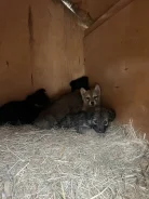 ������. ����