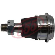 ����� ������� | ����� ����/��� | 555 SBN441 SBN441 ����