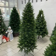 ���� �������������. ��� ����� �� ���������� ����