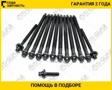 ����� � ����� / Ti-GUAR ��� Peugeot; 10 ���� M10 150��, 2 M8 95,3��, 1 35��; TG-CHB055-SET; 11127560274 81044100 426830 TI-GUAR Tgchb055SET TGCHB055SE...