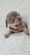 ��������. ����