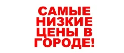 ���� ���������. ����