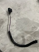������ ����� 1209177 ����
