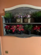 ����� ��������� ��������� ����� ����
