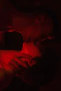 ������ ����������. ����