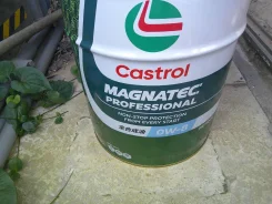 Castrol Magnatec Professional
