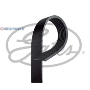 ������ ������������ 7PK1038SF 7PK1038SF ����