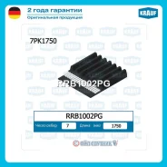 ������ ������������ RRB1002PG RRB1002PG ����