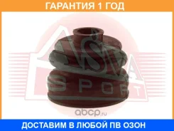 ������� ���� (�������� ��� ������) ASVA / Asbtinsf24 �������� 12 ��� ASBTINSF24 ����