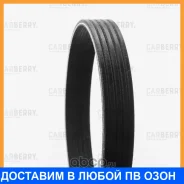 ������ ������������ Carberry / 5PK1545 5PK1545 ����
