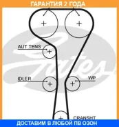 �������� ������ ������� ��� PowerGrip� Gates / 5550XS �������� 24 ��� 5550XS ����