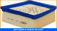 ������ ��������� Goodwill / AG491 AG491 ����