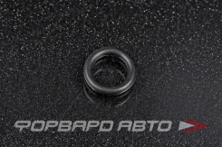 ������ �������������� ������������ 10*2,5 NOK OR-02.50_010.00 OR025001000 ����