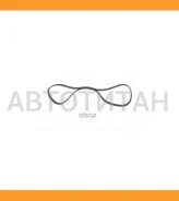 ������ ��� 6PK1100* Ti�GUAR 6PK1100 ����