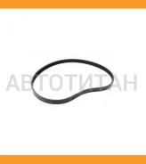 ������ ��� 6PK1218* Ti�GUAR 6PK1218 ����