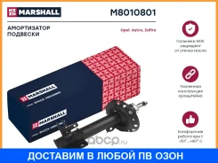 ������������ �������� (��������) Marshall / M8010801 M8010801 ����