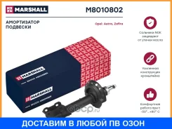 ����������� ����� ���� Marshall / M8010802 M8010802 ����