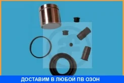 ��������� �������� ��������� �������� Seinsa Autofren / D41188C D41188C ����