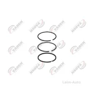 �������� ��������� ����� 75,00mm (+1,00) 2,00+2,00+4,00 Volvo 751204 ����