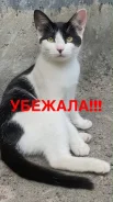�����. ����